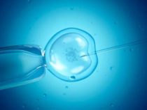Учёные впервые создали синтетическую клетку из неживых компонентов, способную питаться, расти и размножаться