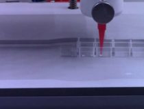 3D-печать растительных клеток открывает перспективы для изучения клеточных функций