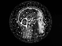 Программное обеспечение для обработки естественного языка оценивает научные эссе средней школы