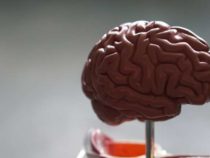 Результаты клинических испытаний указывают на низкий уровень нежелательных явлений, связанных с имплантированным компьютерным интерфейсом мозга