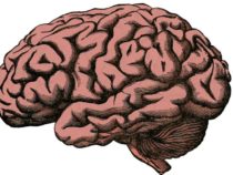 Хирургическое и нехирургическое лечение гипофизарной апоплексии
