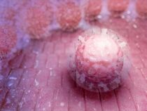 Стволовые клетки обладают скрытыми способностями к лечению заболеваний крови