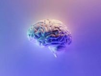 Исследование изучает географические связи между деменцией и кардиометаболическими заболеваниями в США
