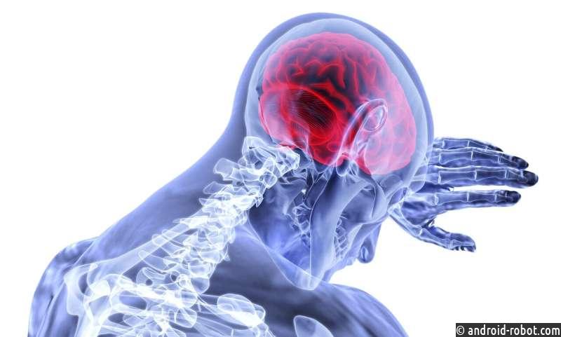 Открыта новая техника визуализации мозга с помощью прозрачного имплантата черепа
