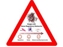 Обнаружены новые механизмы развития инсульта