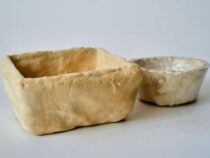 Грибковый мицелий можно использовать для создания новых материалов