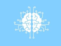 Создается нейросетевой алгоритм для выявления критических изменений в исследованиях В