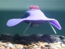 Стратегия 3D-печати может модернизировать мягких роботов и продлить срок их службы