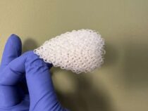 Разрабатывают поликатенированные архитектурные материалы для инновационных 3D-проектов