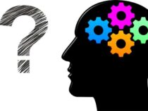 Секрет эффективного обучения: извлечение информации разными способами