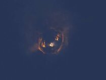 Последний испытательный полет Starship компании SpaceX завершился еще одним взрывом