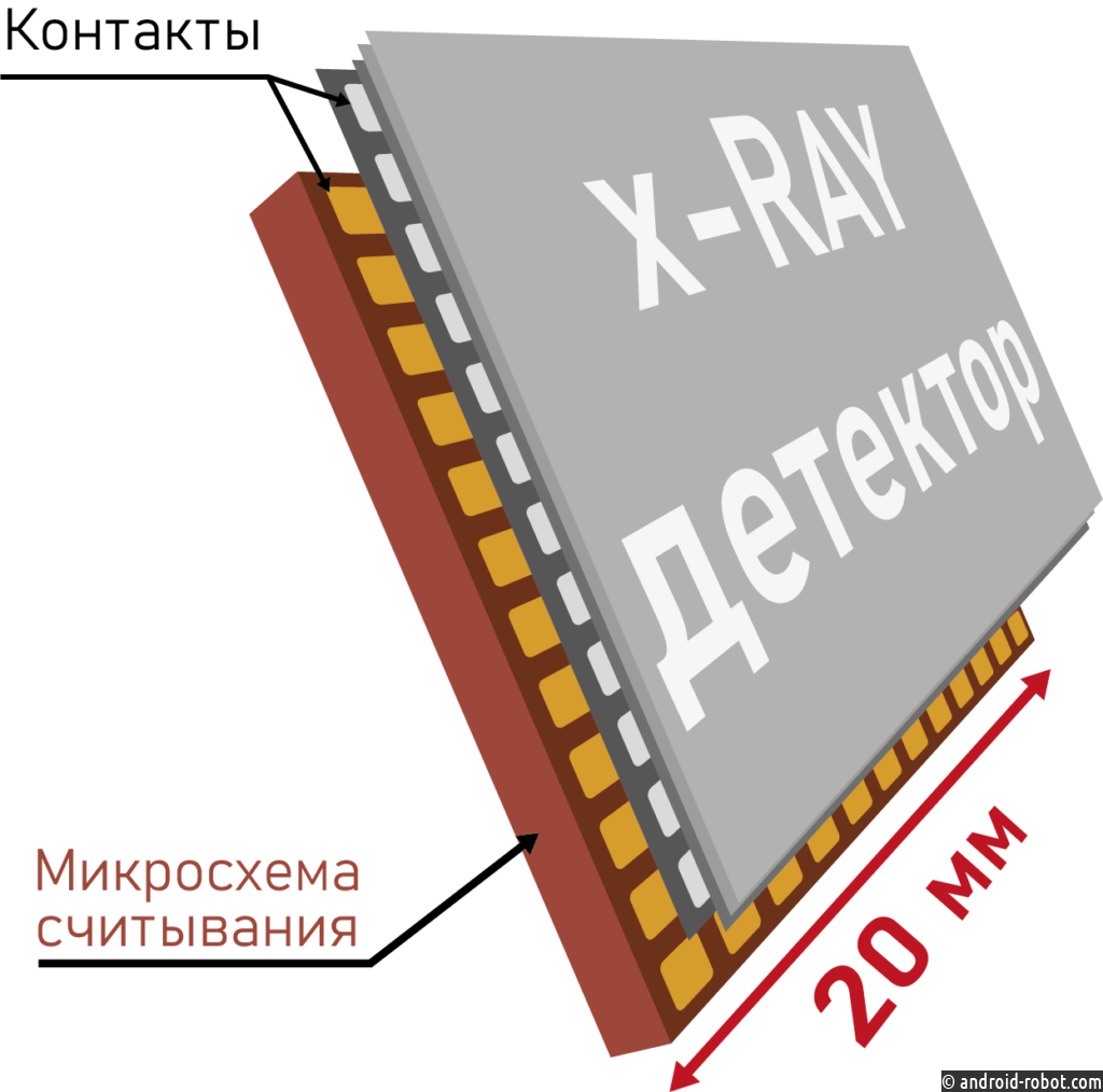 Разрабатывают детектор для «цветной рентгенографии»