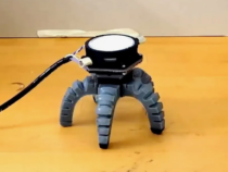 Гриб-киборг: учёные создали био-робота, которым управляют мицелий и свет