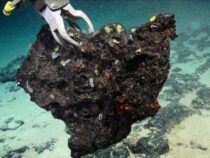 Морские роботы-геологи нашли залежи лития у побережья Калифорнии