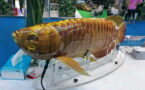 Китай продемонстрировал BG-5 Golden Dragon Fish – подводного робота, созданного по принципу биомимикрии