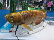 Китай продемонстрировал BG-5 Golden Dragon Fish – подводного робота, созданного по принципу биомимикрии