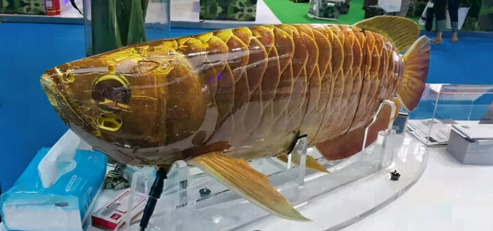 Китай продемонстрировал BG-5 Golden Dragon Fish – подводного робота, созданного по принципу биомимикрии