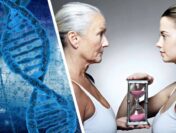 Молекулярные часы повернули вспять: немецкие учёные омолодили клетки 80-летнего человека до уровня 20-летнего