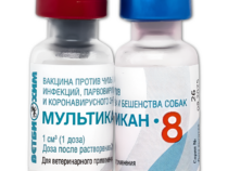 Трагедия «Мультикана-8»: как смертельный вирус попал в вакцину и почему сотни собак погибли после прививки
